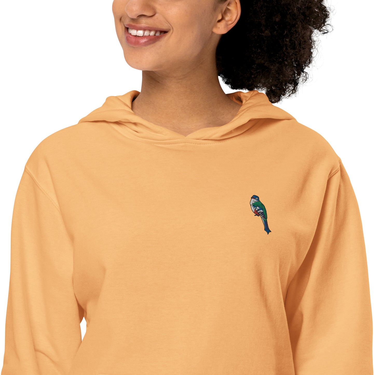 Fashion Fit Midweight Hoodie: DelCompany LLc Logo (Embroidered)